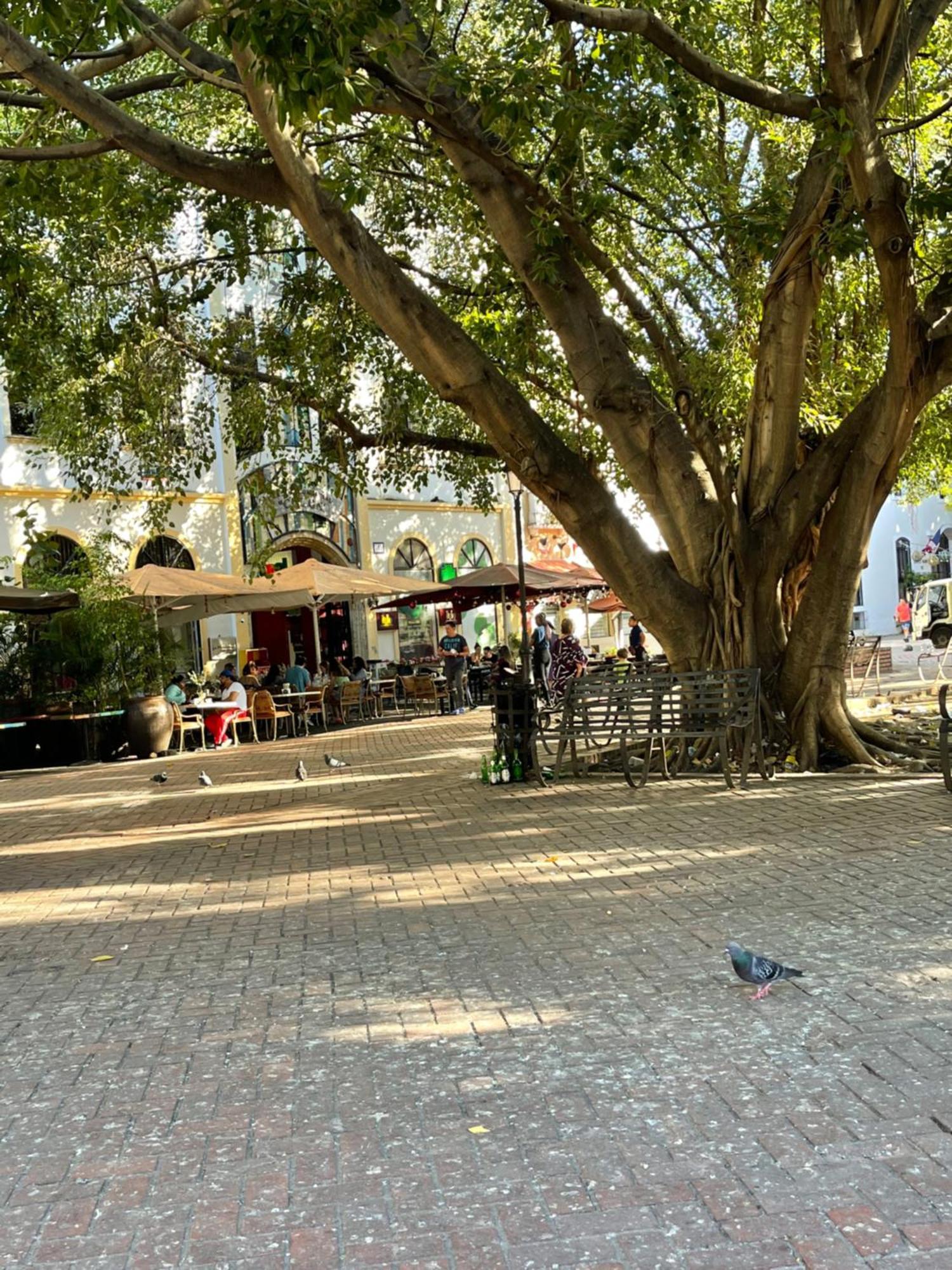 Studio 27 Colonial, Centro Historico Santo Domingo Ngoại thất bức ảnh
